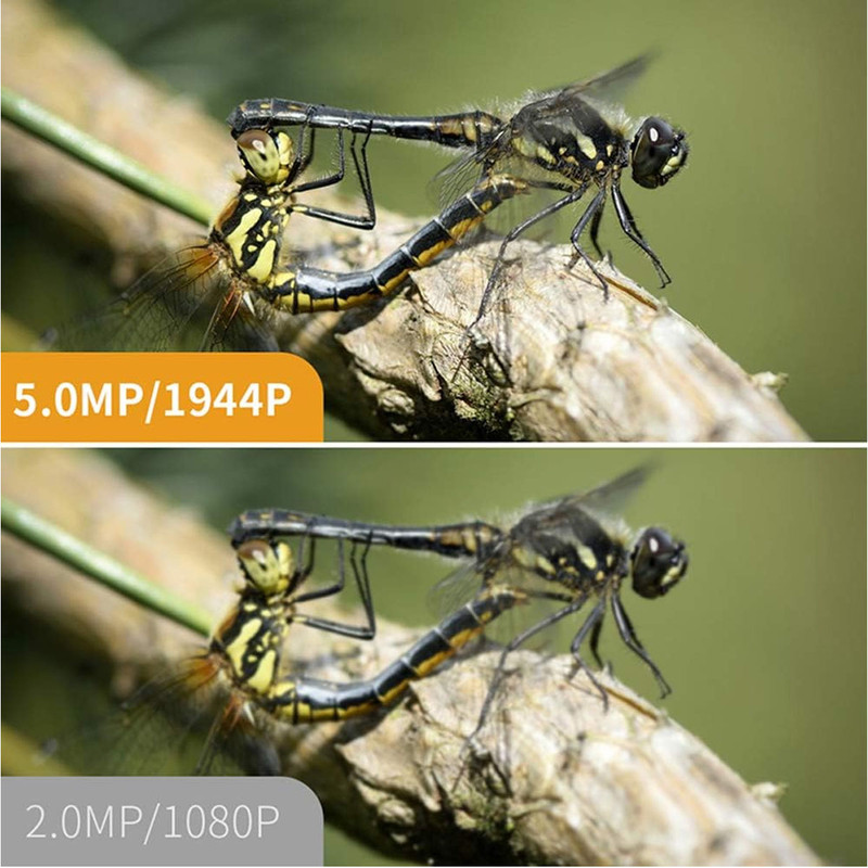 دوربین شلنگی مدل اتوفوکوس ضدآب Wifi 10Meters HD New دوربین شلنگی مدل اتوفوکوس ضدآب Wifi 10Meters HD New