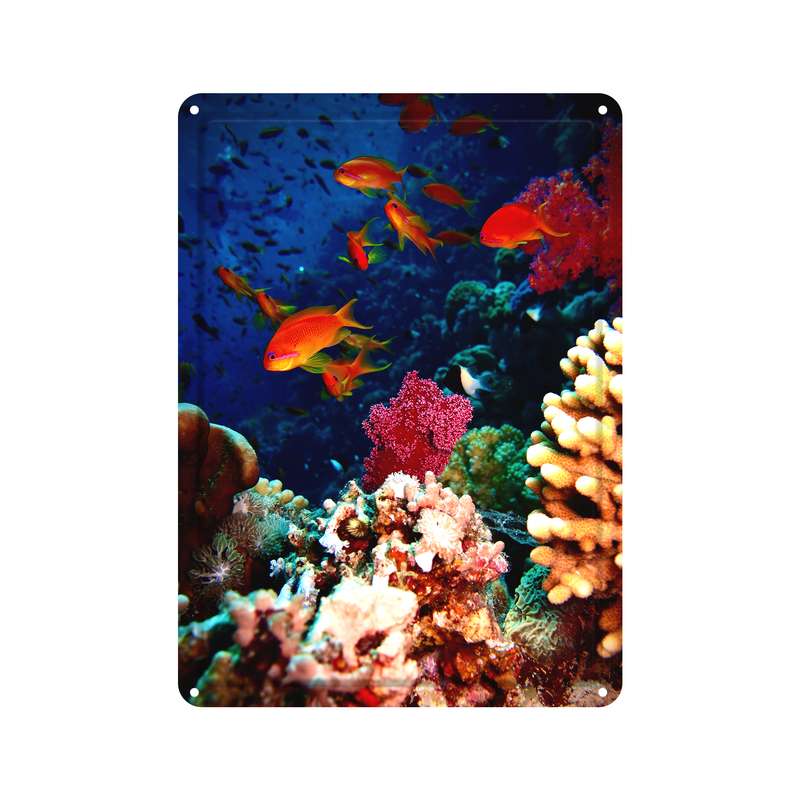 دیوارکوب مدل ماهی کد s 2183