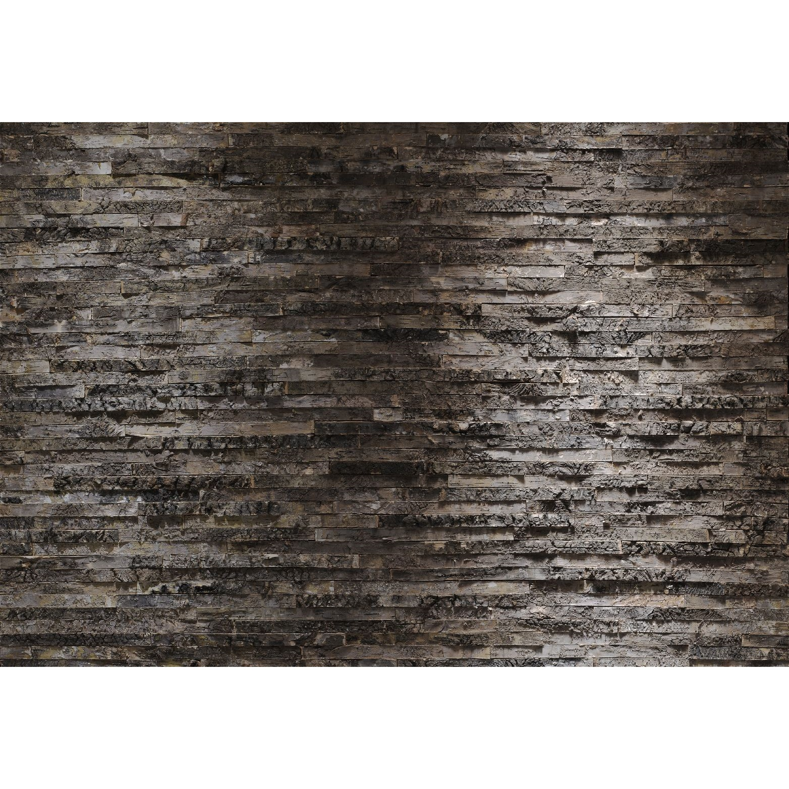 پوستر دیواری کومار مدل Birkenrinde 8-700