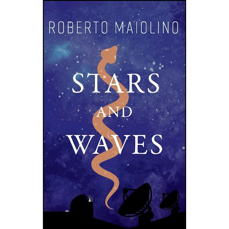 کتاب Stars And Waves اثر Roberto Maiolino انتشارات Clink Street Publishing