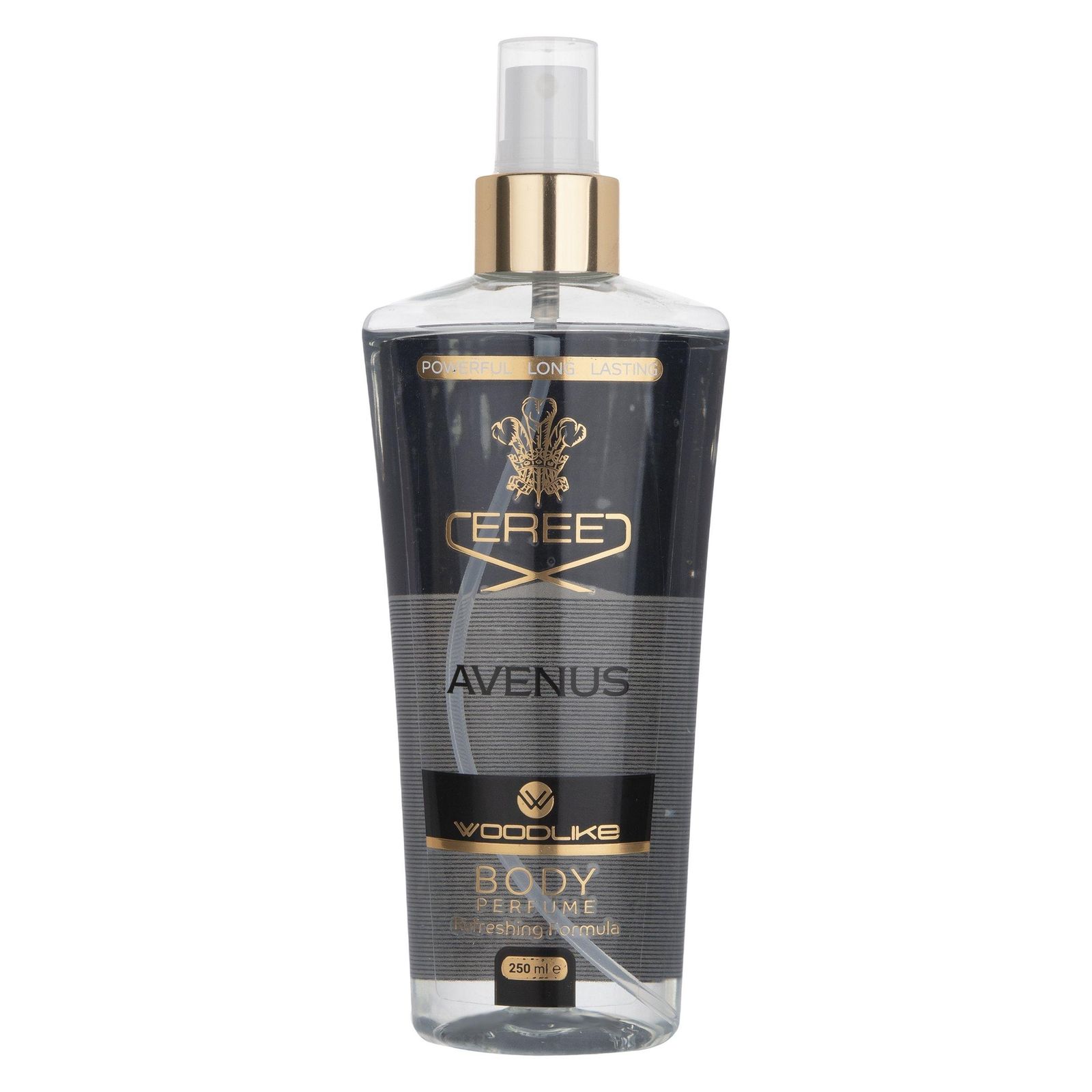 بادی اسپلش مردانه وودلایک مدل Avenus حجم 250 میلی لیتر - - 1