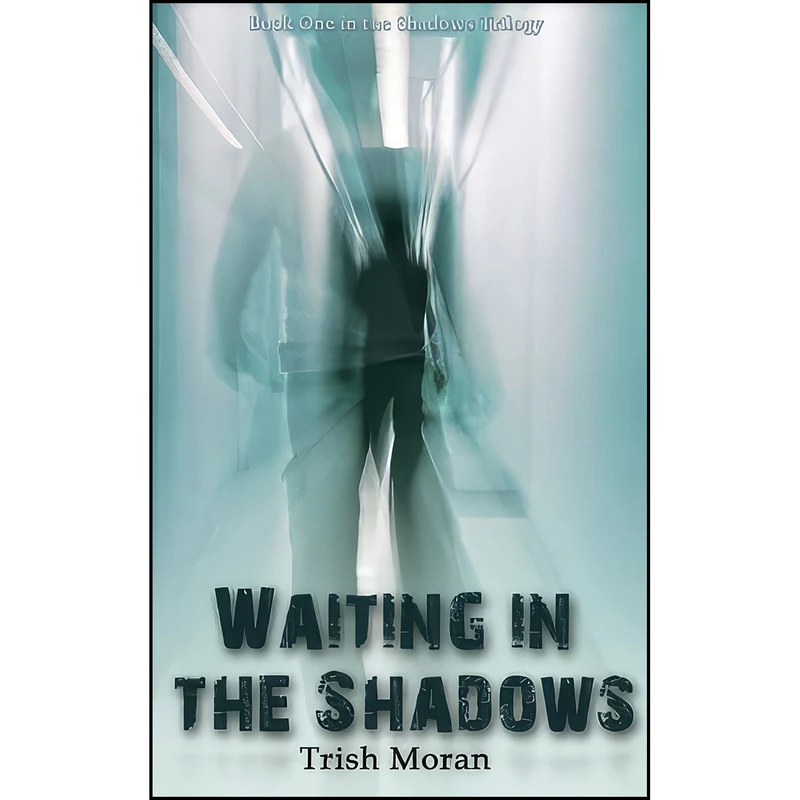 کتاب Waiting in the Shadows اثر Trish Moran انتشارات Accent Press