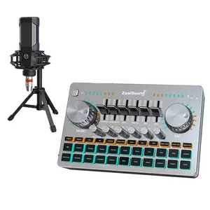میکروفون استودیویی زل ساند مدل V13-A به همراه کارت صدا 
