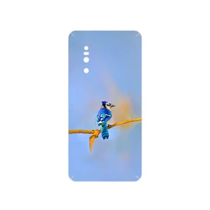 MAHOOT Cyanocitta cristata Cover Sticker for VIVO X27