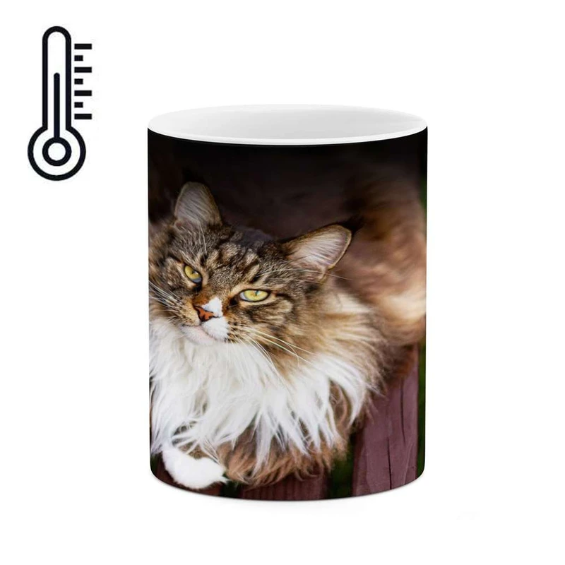 ماگ حرارتی کاکتی مدل گربه کد mgh16514