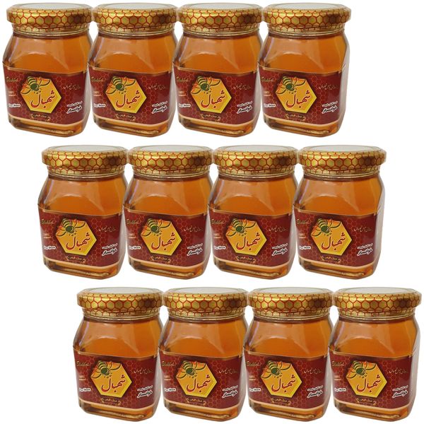 
 عسل طبیعی چهل گیاه شهبال - 380 گرم بسته 12 عددی
 