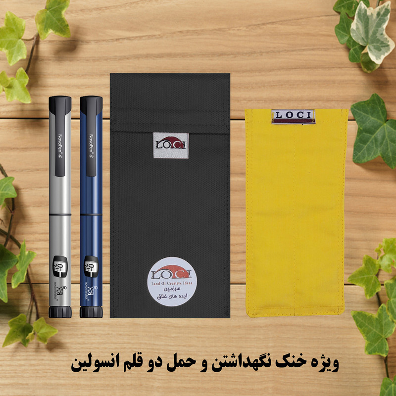 کیف خنک نگهدارنده انسولین لوک آی مدل 2 قلم کد 01 مجموعه 2 عددی