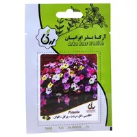 بذر گل اطلسی گل درشت پرگل الوان آرکا بذر ایرانیان کد ARK-068