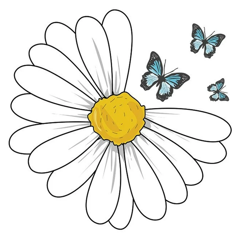 استیکر پارچه و لباس کارانس مدل  بابونه کد AST-83 بسته 2 عددی