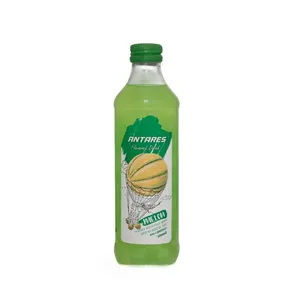 آبمیوه طالبی پالپ دار آنتارس - 320 میلی لیتر
