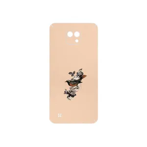 MAHOOT Collage of surreal Portrait of Women 2 Cover Sticker for LG X Cam
