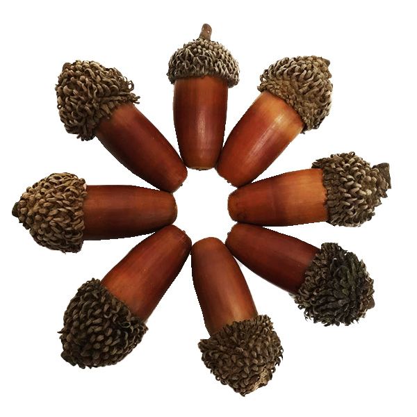 دکوری مدل بلوط کد 358 بسته 8 عددی