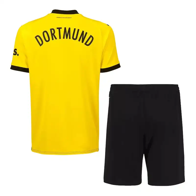 ست تی شرت و شلوارک ورزشی مردانه مدل دورتمند کد Home 2024