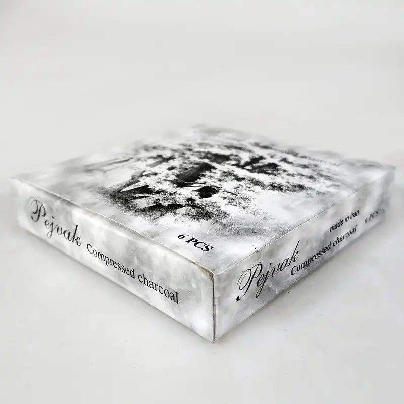 زغال طراحی پژواک کد 82496 بسته 6 عددی
