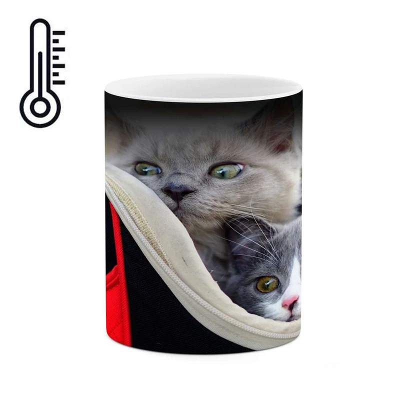 ماگ حرارتی کاکتی مدل گربه کد mgh16227