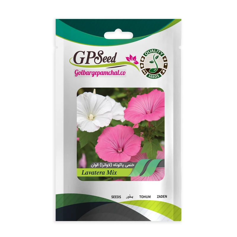 بذر گل ختمی پا کوتاه لاواترا الوان گلبرگ پامچال کد GPF-048