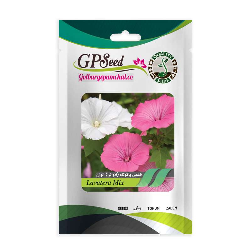 بذر گل ختمی پا کوتاه لاواترا الوان گلبرگ پامچال کد GPF-048