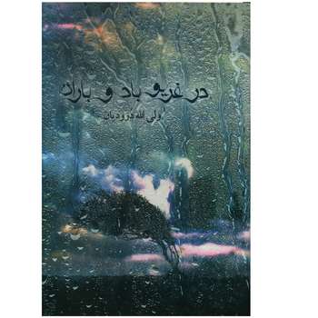 کتاب در غریو باد و باران اثر ولی الله درودیان انتشارات صدای معاصر 