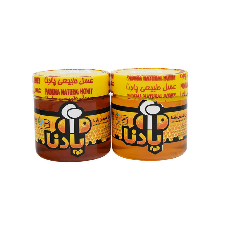 عسل سدر و چهل گیاه پادنا - 700 گرم مجموعه دو عددی