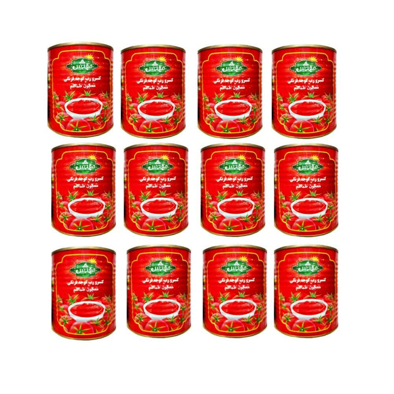 کنسرو رب گوجه فرنگی مقدس - 800 گرم  بسته 12 عددی