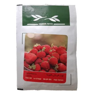 بذر توت فرنگی گاویتا وانیا سید مدل H22