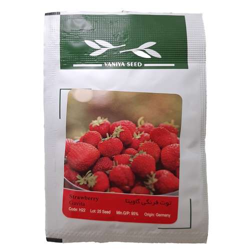 بذر توت فرنگی گاویتا وانیا سید مدل H22