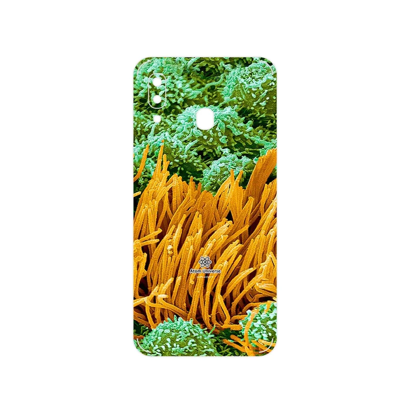 برچسب پوششی ماهوت مدل Atom Universe 6 مناسب برای گوشی موبایل سامسونگ Galaxy A20e