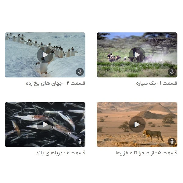 عکس شماره 7 : مستند سیاره ما our planet اثر آلستر فوردگل نشر لیمو استور