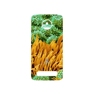 MAHOOT Atom Universe 6 Cover Sticker for Motorola Moto Z Play