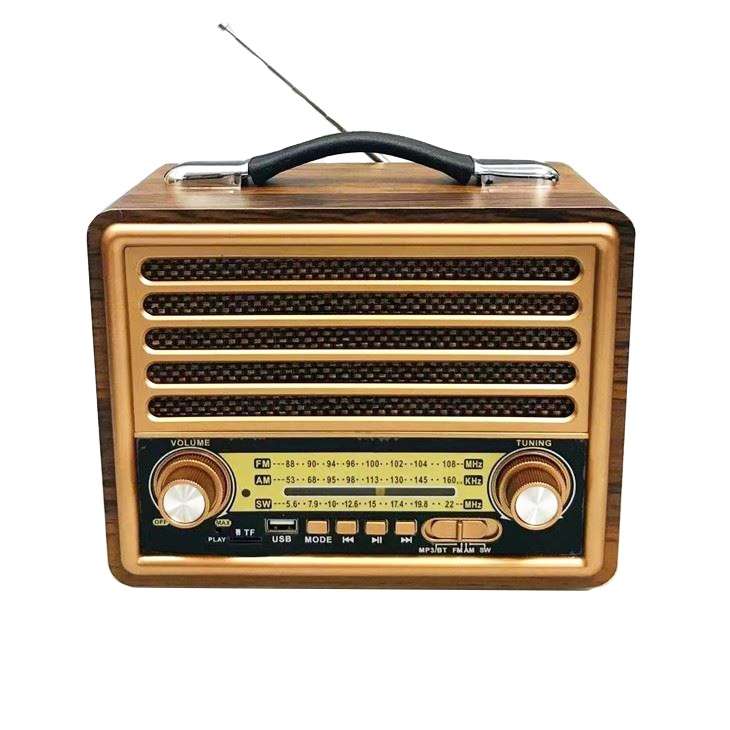 رادیو ری زنک مدل 2077BT