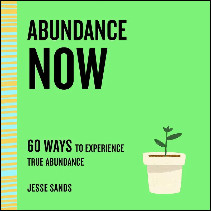 کتاب Abundance Now اثر Jesse Sands انتشارات St. Martins Essentials