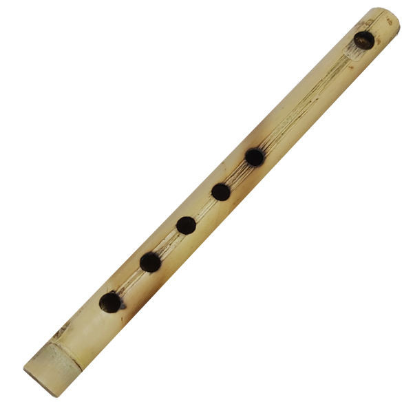 بازی آموزشی طرح فلوت مدل B-153