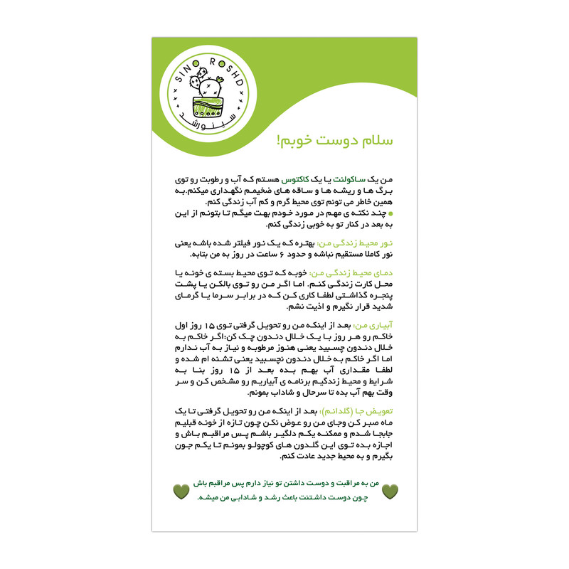 گیاه طبیعی سینورشد کاکتوس و ساکولنت انگشتی کد CS20 بسته 20 عددی