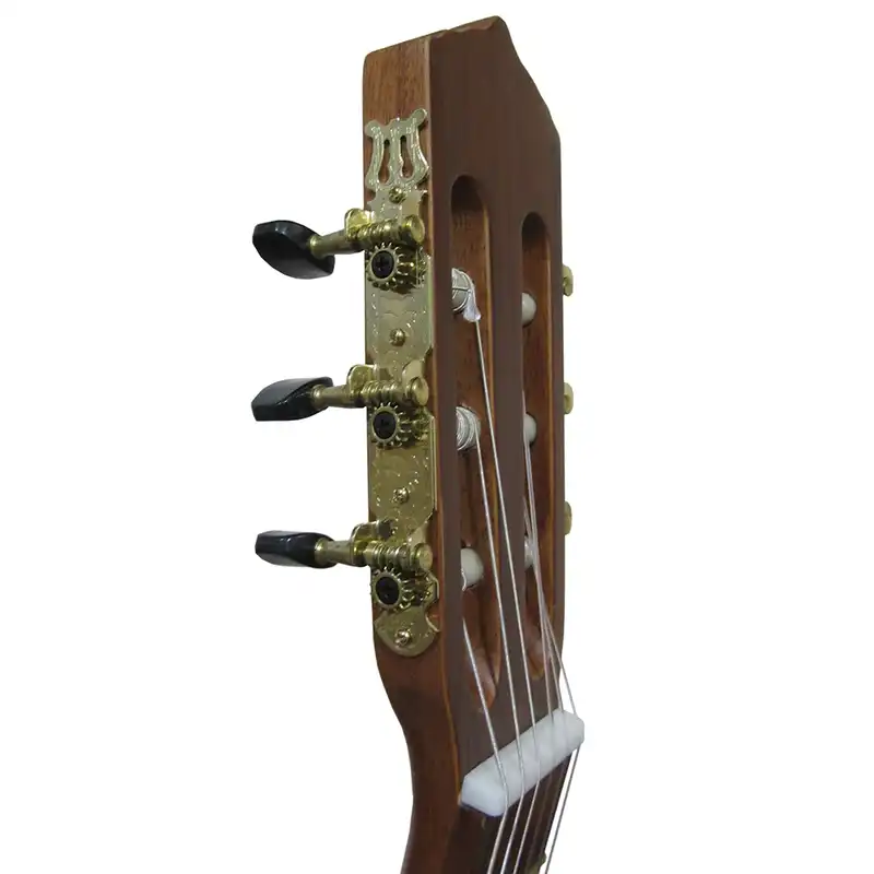 گیتار پارسی مدل M5 cut