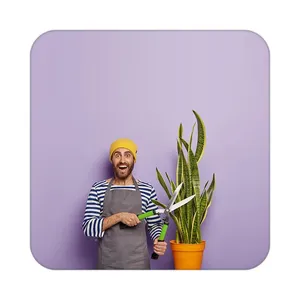 زیر لیوانی کاکتی طرح گل مدل mp17904