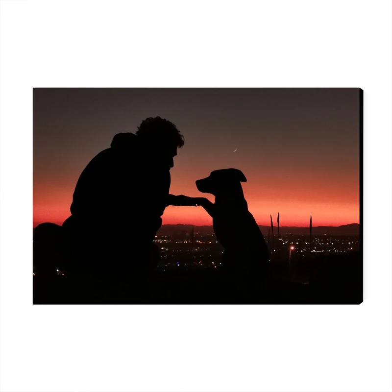 تابلو شاسی عرش مدل فانتزی سگ کد As1976