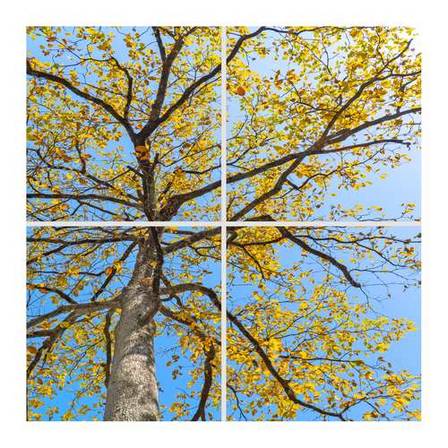 تایل سقفی آسمان مجازی مدل SK-455 سایز 60x60 سانتیمتر بسته 4 عددی