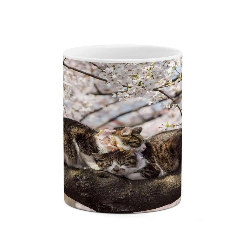 ماگ کاکتی مدل گربه کد mgh15733