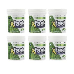 آدامس با نعنا ترش ایکس فست- 50 گرم - بسته 6 عددی