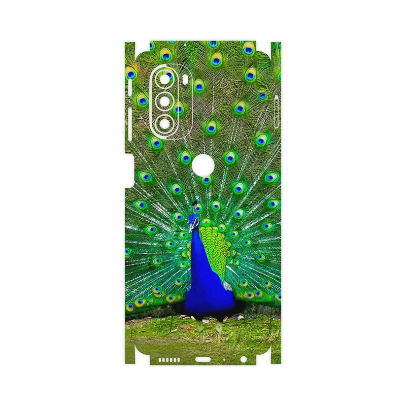 برچسب پوششی ماهوت مدل Peacock-FullSkin مناسب برای گوشی موبایل موتورولا Moto G51 5G