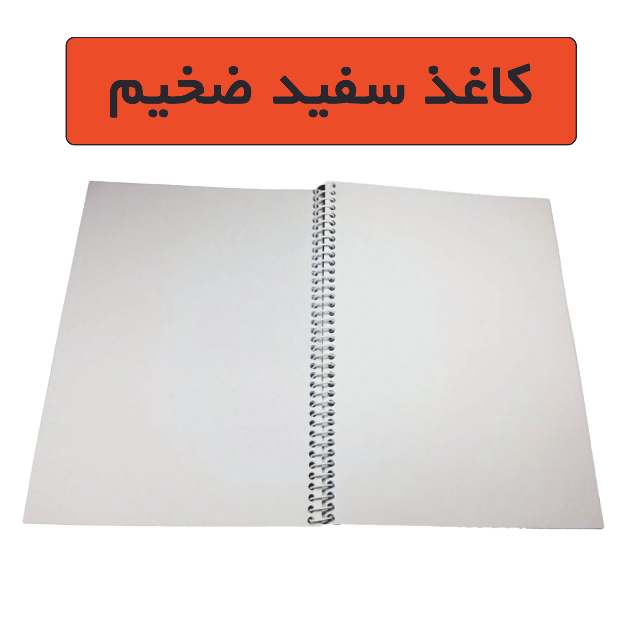 دفتر نقاشی 100 برگ تیما مدل Diana