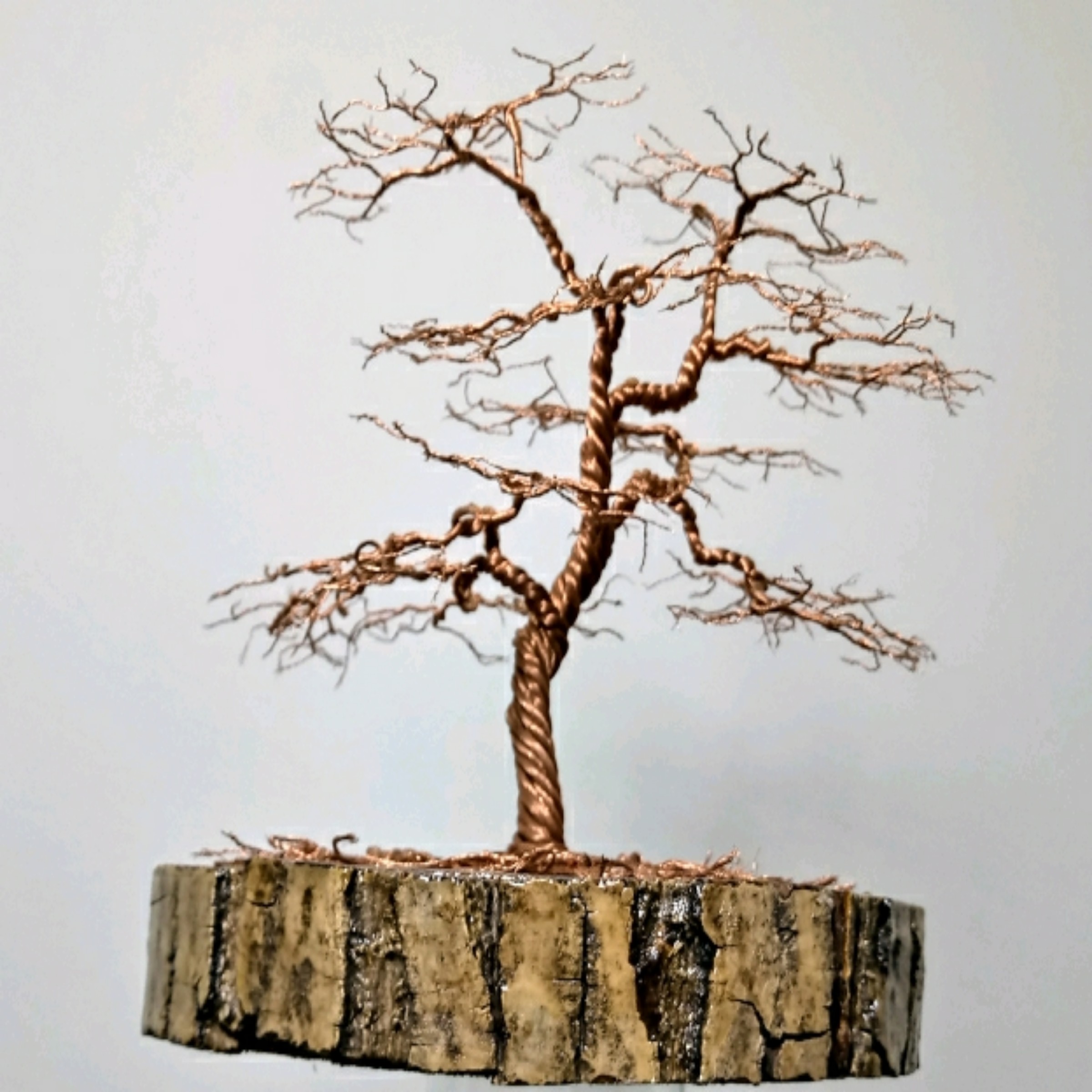 ماکت مدل درخت سیمی کد 103