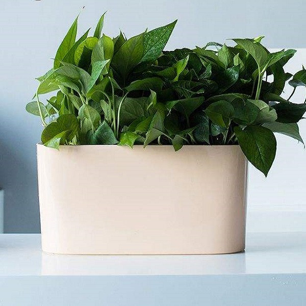 گلدان خودآبیار مدل G-H