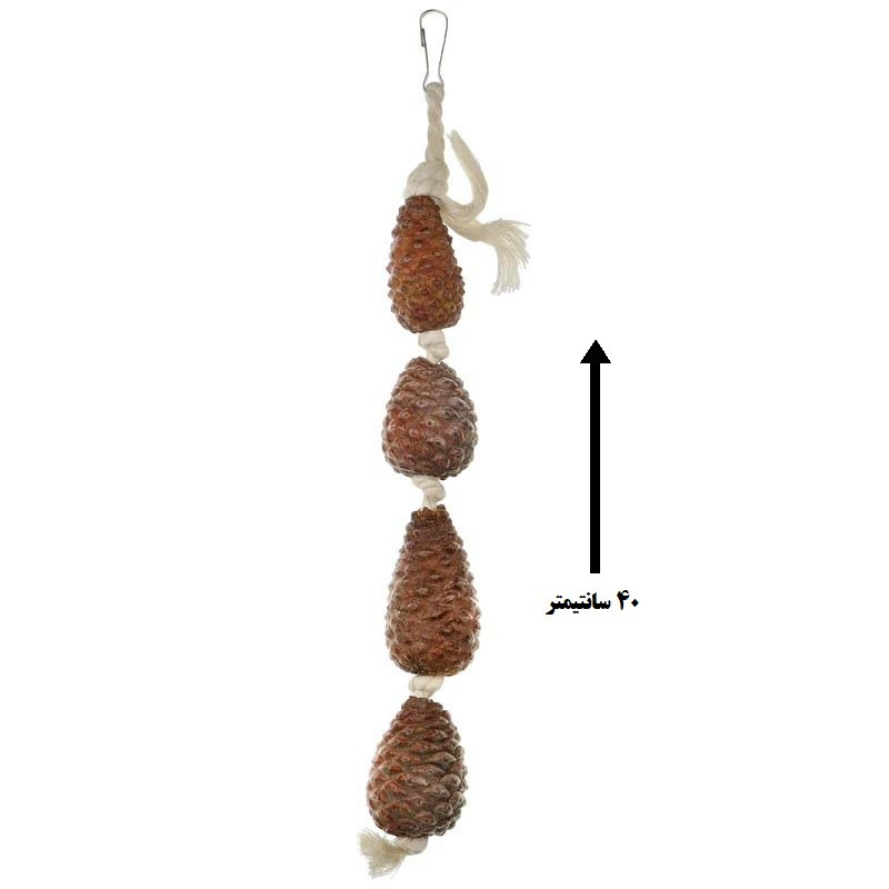 اسباب بازی پرندگان مدل میوه کاج طوطی سانان 2090