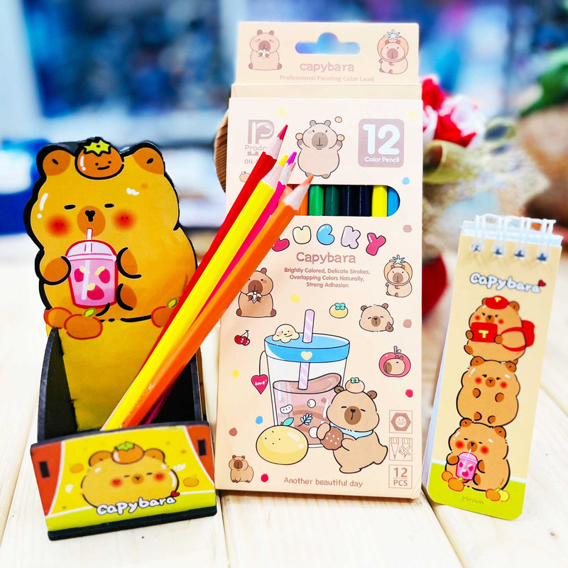 بسته لوازم تحریر مدل کاپی بارا مجموعه 3 عددی