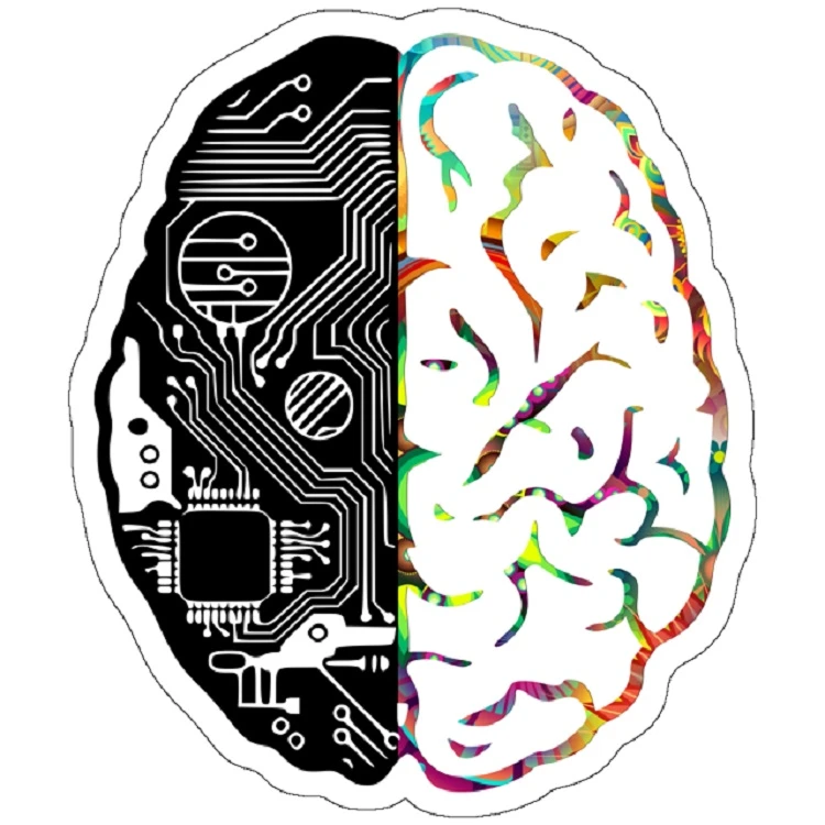 استیکر لپ تاپ مدل Coding Brain in Black & Psychedelic Colour