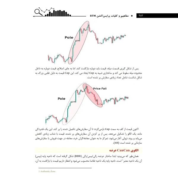 عکس شماره 13 : کتاب مفاهیم و کلیات پرایس اکشن rtm اثر سلیمه صدیقی و دکتر سمیه محمدی انتشارات باوین