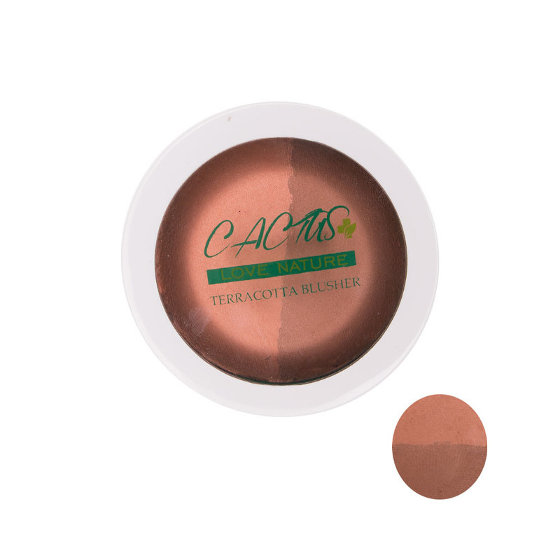 هایلایتر و کانتورینگ کاکتوس شماره 41