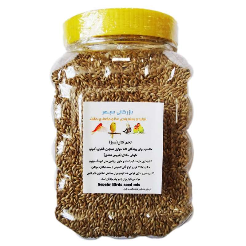 غذای پرندگان بازرگانی سپهر مدل تخم کتان کد 3001 وزن 3000 گرم