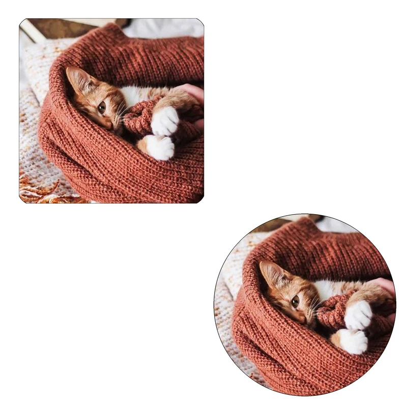 مگنت طرح گربه کد wmg399 به همراه زیر لیوانی